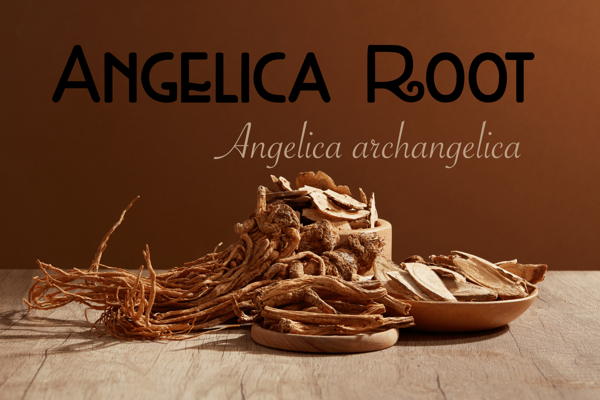 Angelica Root Angelica Root