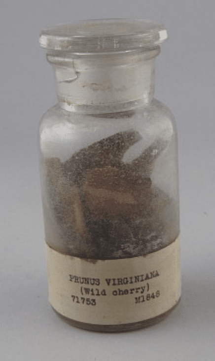 Wild Cherry Tincture