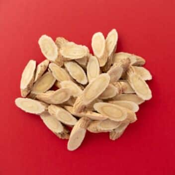 Astragalus