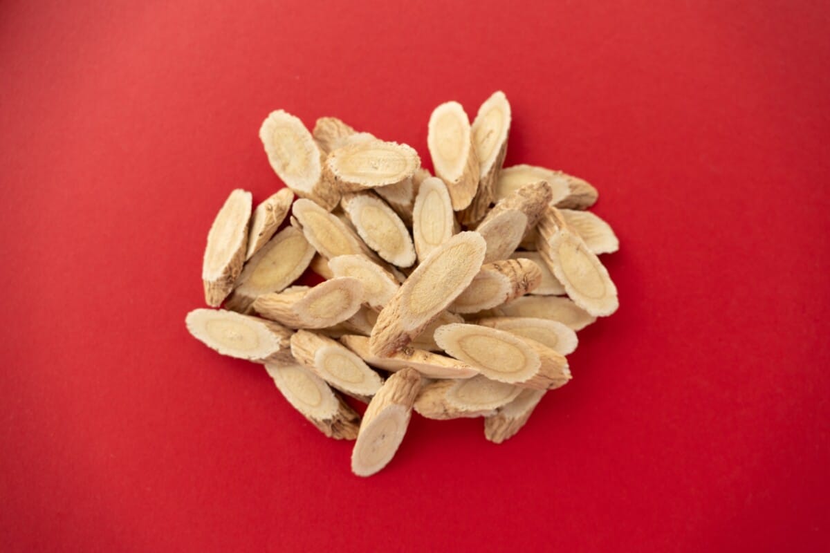 Astragalus