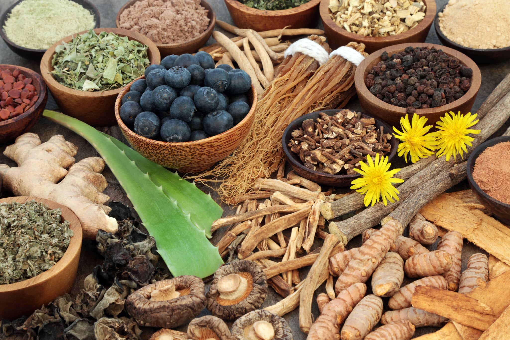 Adaptogenic Food and Spices