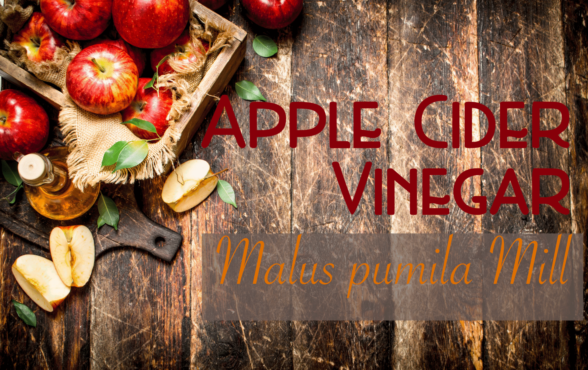 AppleCiderVinegar