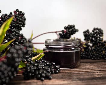 How to Make Fresh Elderberry Tincture