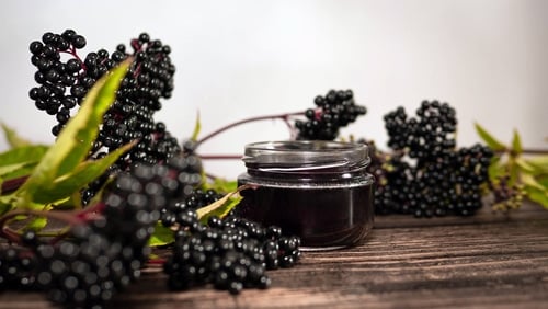 How to Make Fresh Elderberry Tincture