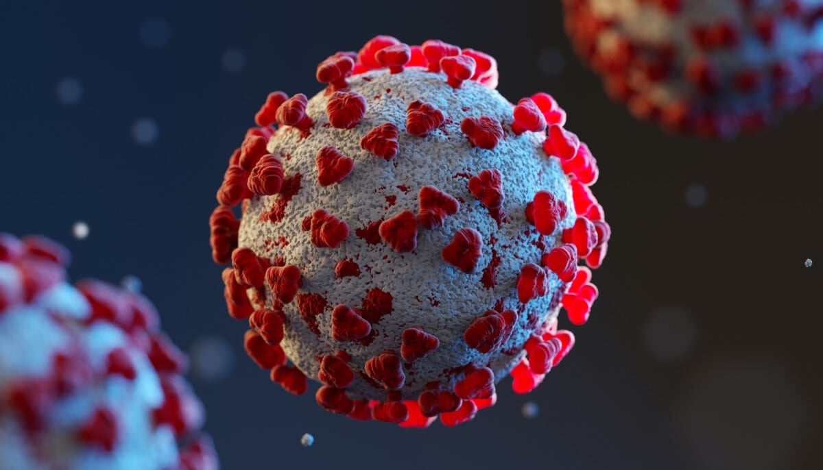virus