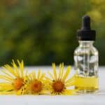 Elecampane in Herbal Medicine