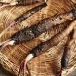 Burdock Root in Herbal Medicine