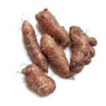 Wild Yam