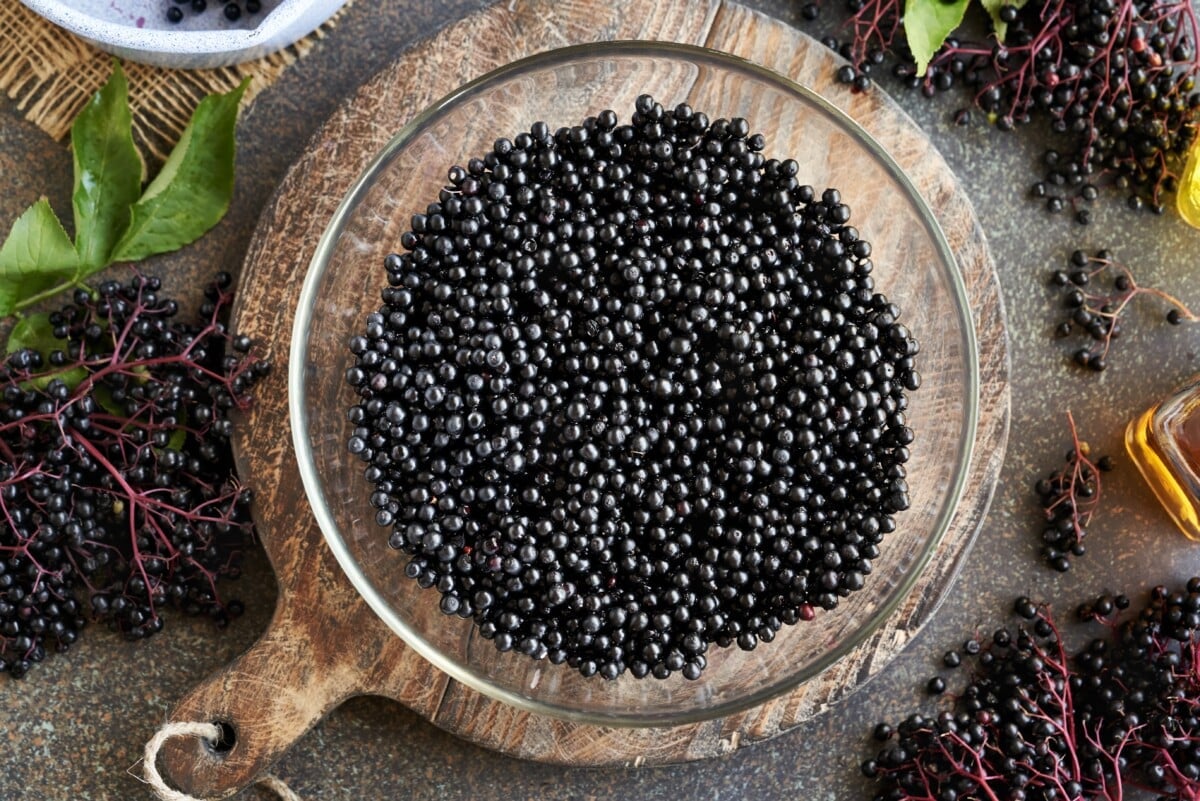 Fresh,Wild,Black,Elderberries,In,A,Glass,Bowl,-,Ingredient American Black Elderberry