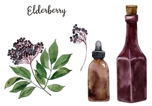 A step-by-step visual guide for making homemade elderberry syrup, featuring ingredients and tools.
