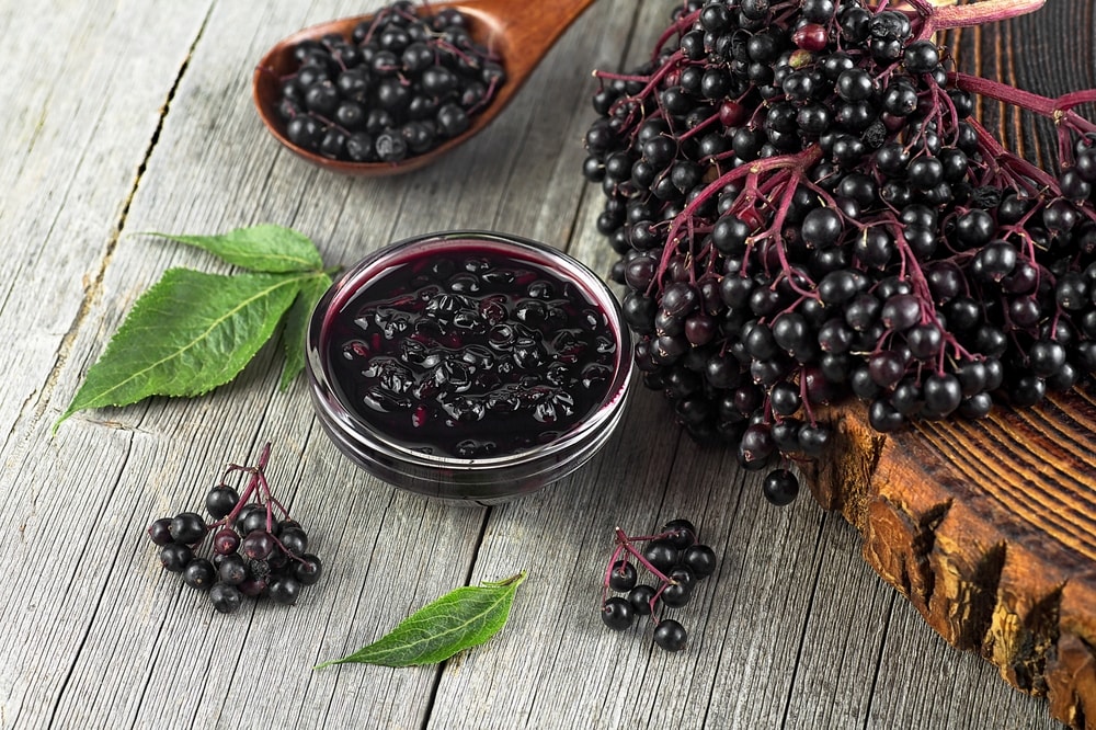 Elderberry fruits arranged artistically, showcasing their edible and medicinal qualities.