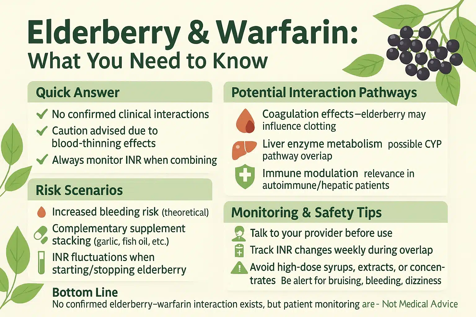Infographic explaining potential interactions between elderberry and warfarin, including risk scenarios, monitoring tips, safety guidance, and a summary that no confirmed interaction exists but caution is advised.