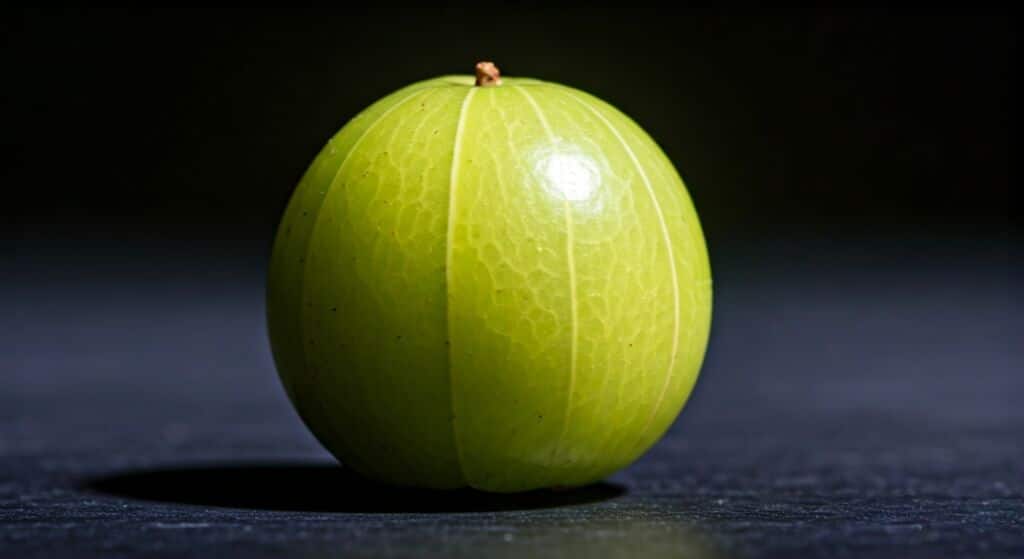 Amla (Phyllanthus emblica) fruit — close-up of whole green berry on dark background
