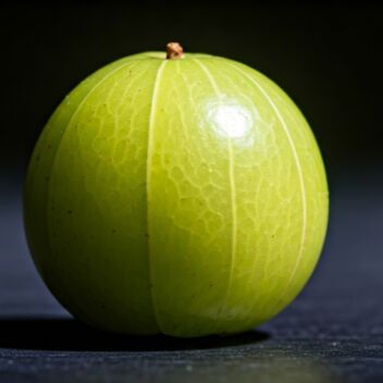 Amla (Phyllanthus emblica) fruit — close-up of whole green berry on dark background